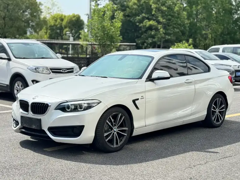 BMW 2 Series (Import), 2018