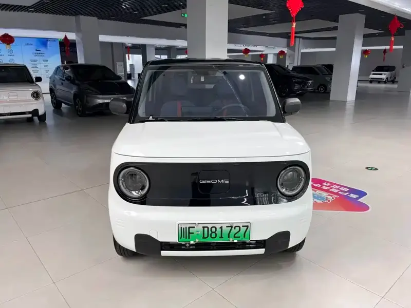 Galaxy Panda, 2023