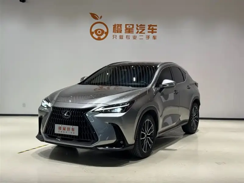 Lexus NX, 2022