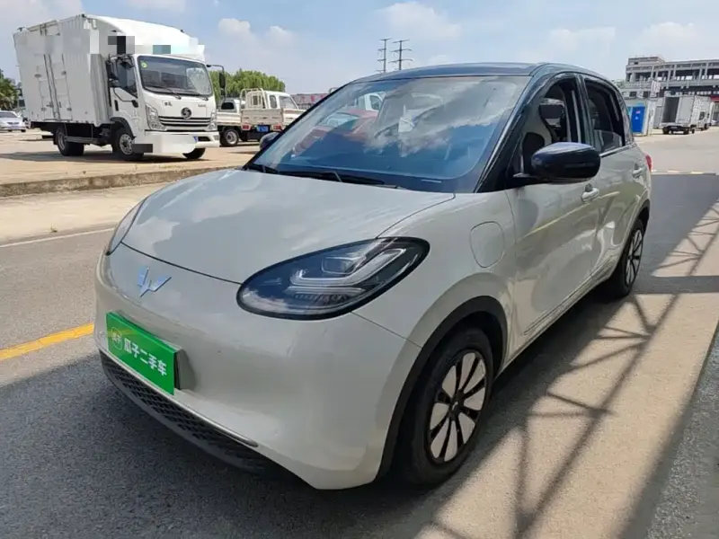 Wuling Bingo, 2023