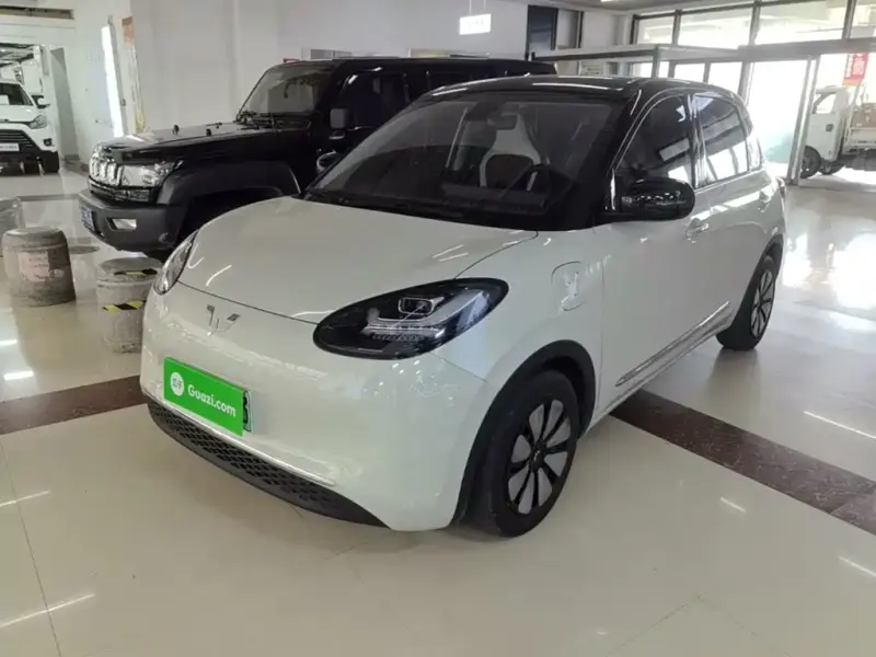 Wuling Bingo, 2024