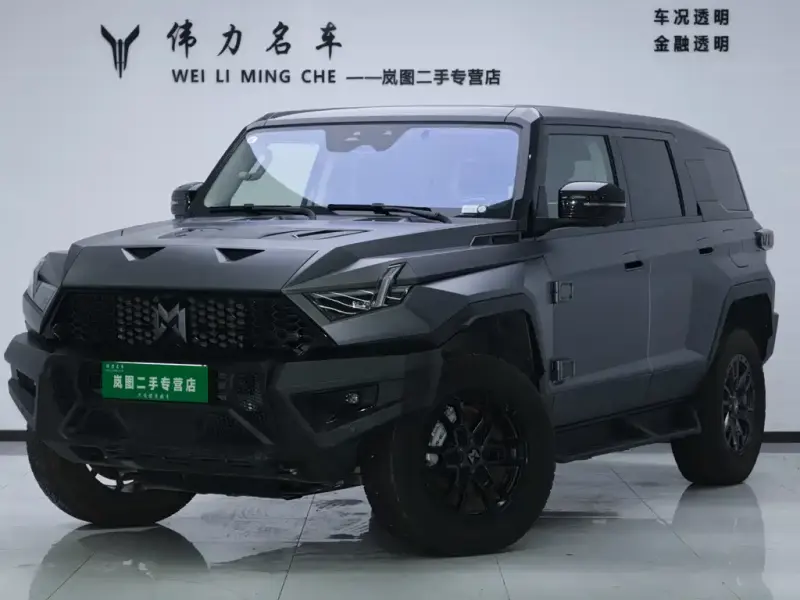 Mengshi 917, 2024