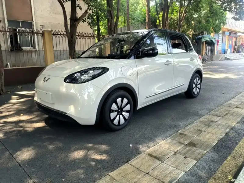 Wuling Bingo, 2026