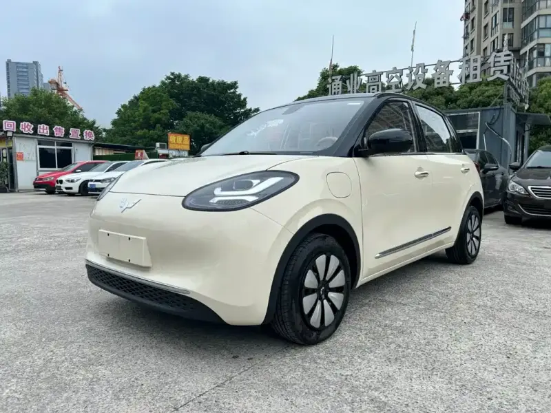 Wuling Bingo, 2026