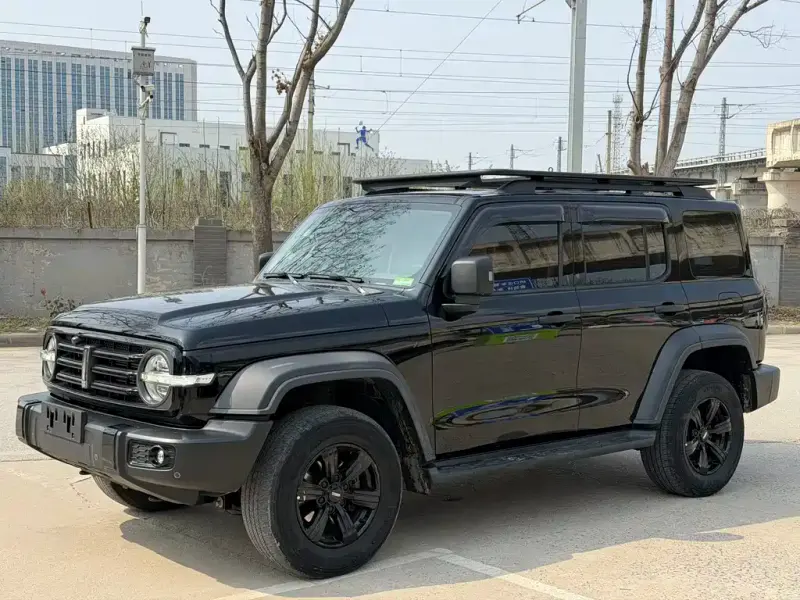 Tank 300, 2021
