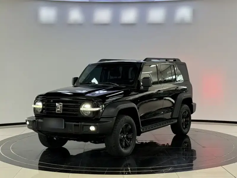 Tank 300, 2021