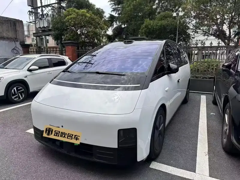 Li Auto Li MEGA, 2025