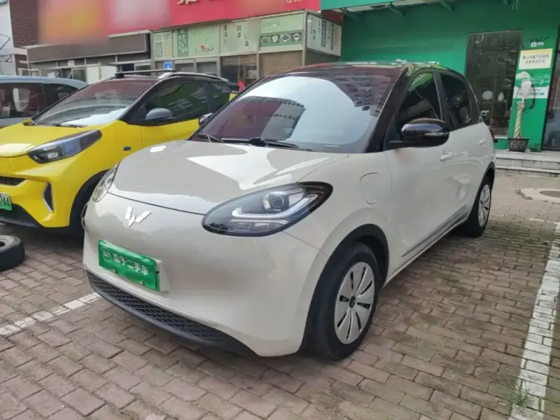 Wuling Bingo, 2023