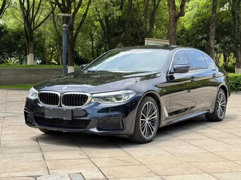 BMW 5 Series, 2020