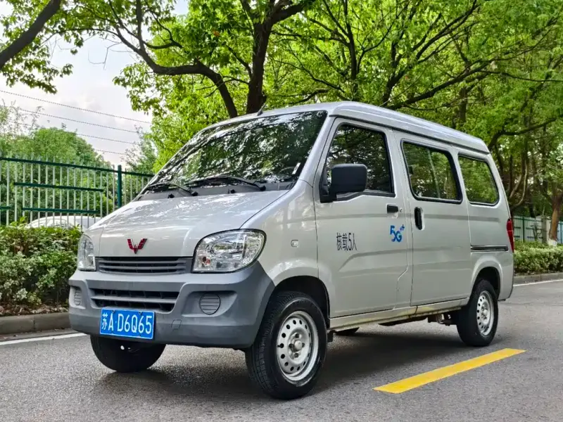 Wuling Zhiguang, 2024