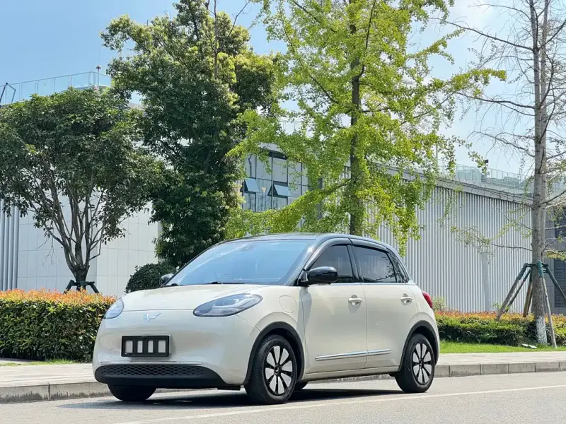Wuling Bingo, 2023