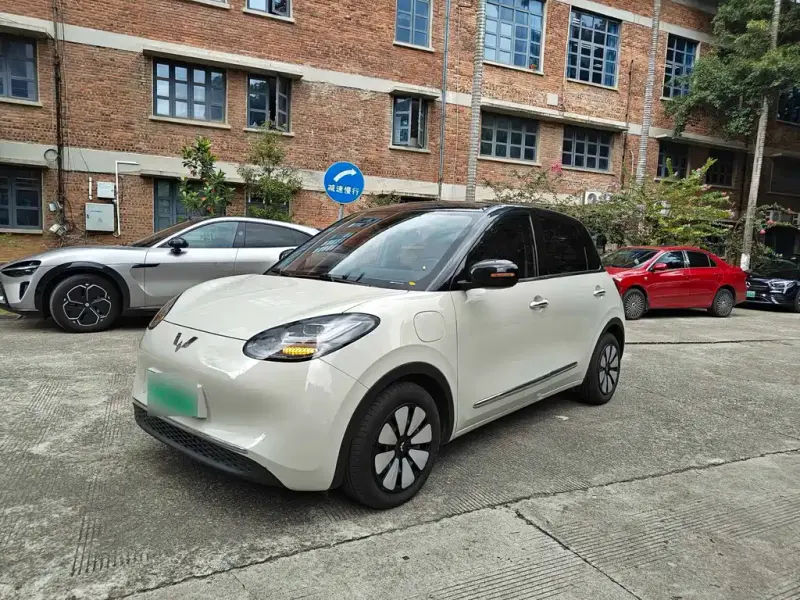 Wuling Bingo, 2023