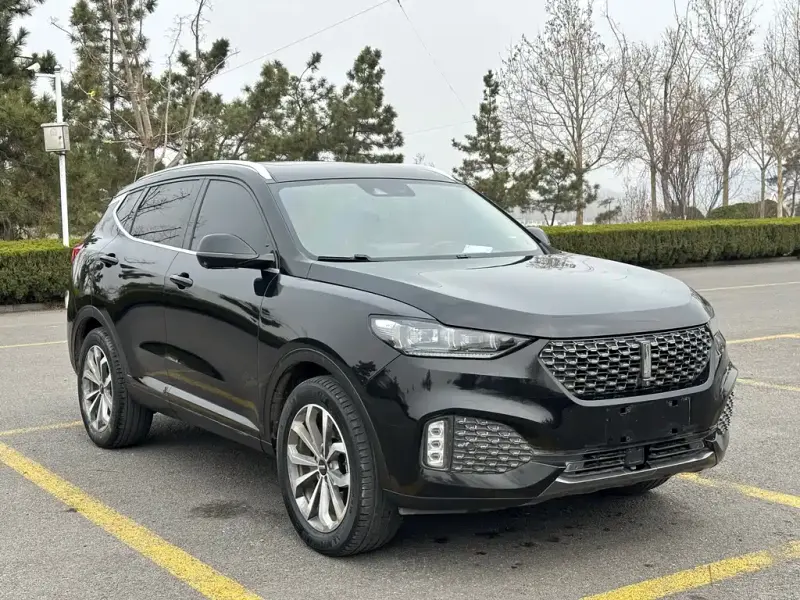 Wey VV6, 2020