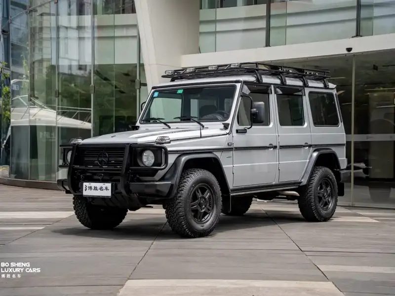 Mercedes-Benz G-Class, 2010