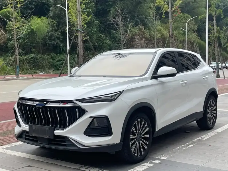 Oshan Oushang X5, 2022