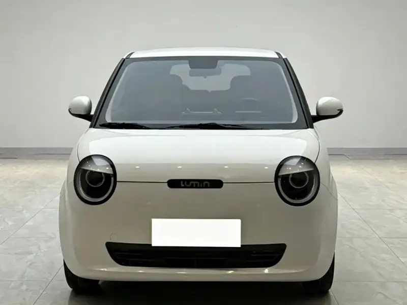Qiyuan Lumin, 2023