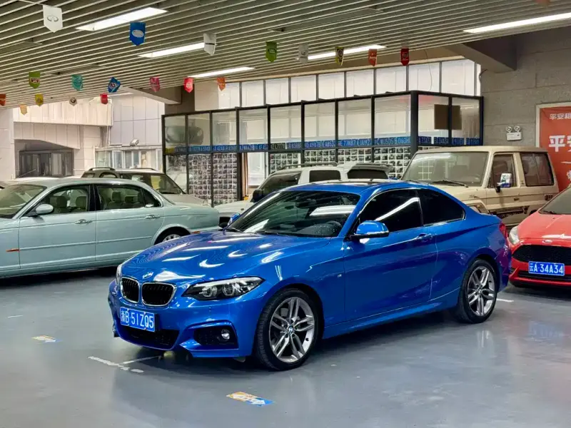 BMW 2 Series (Import), 2018