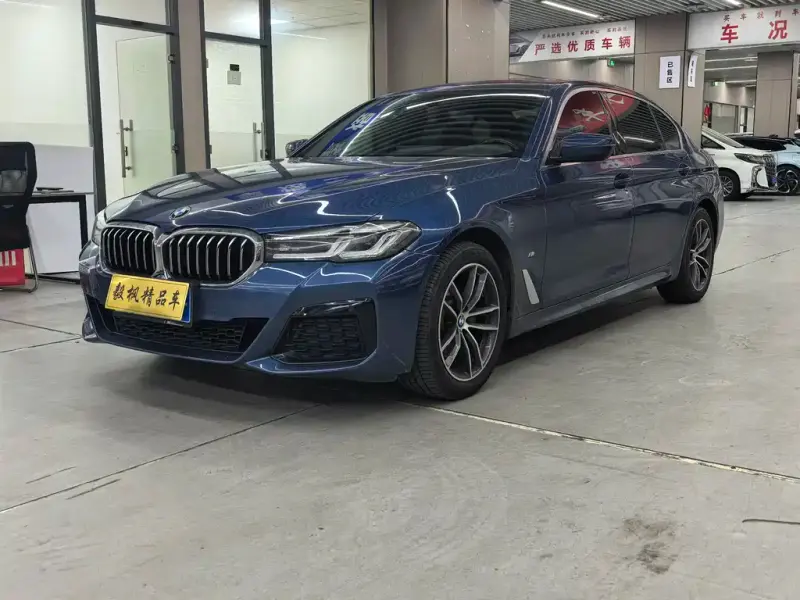 BMW 5 Series, 2020