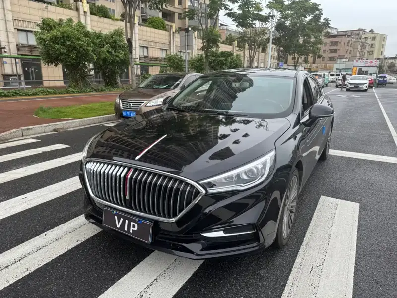 Hongqi H5, 2019