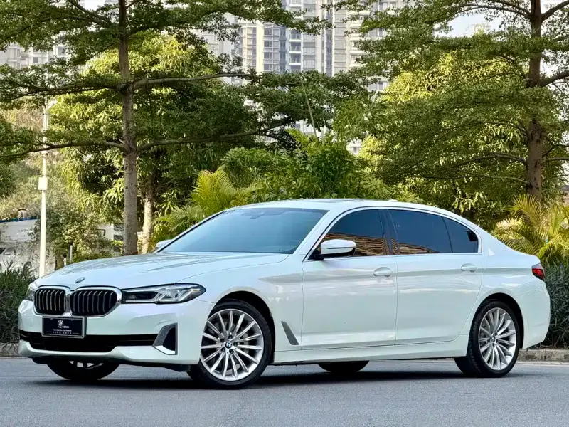 BMW 5 Series, 2021