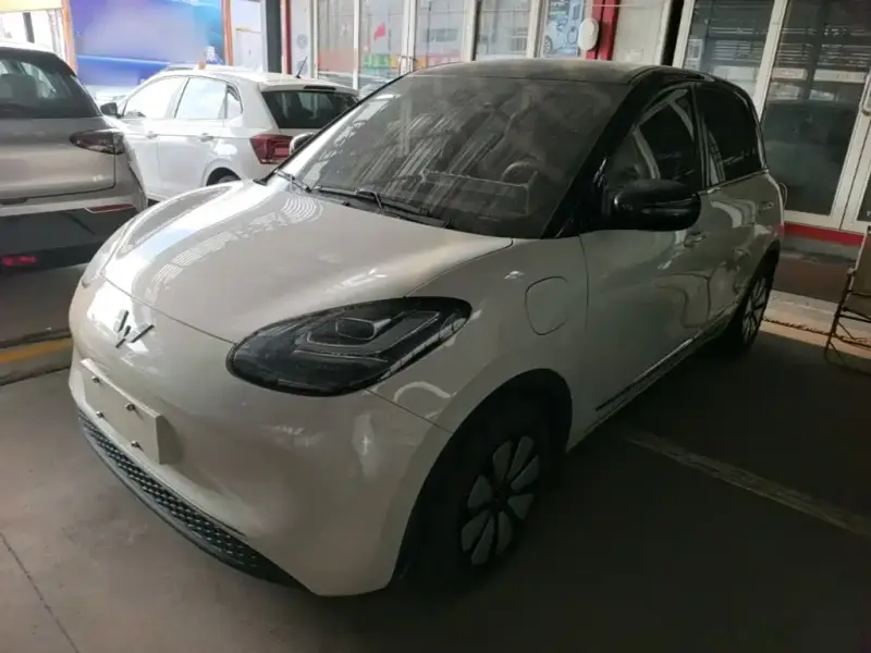 Wuling Bingo, 2024