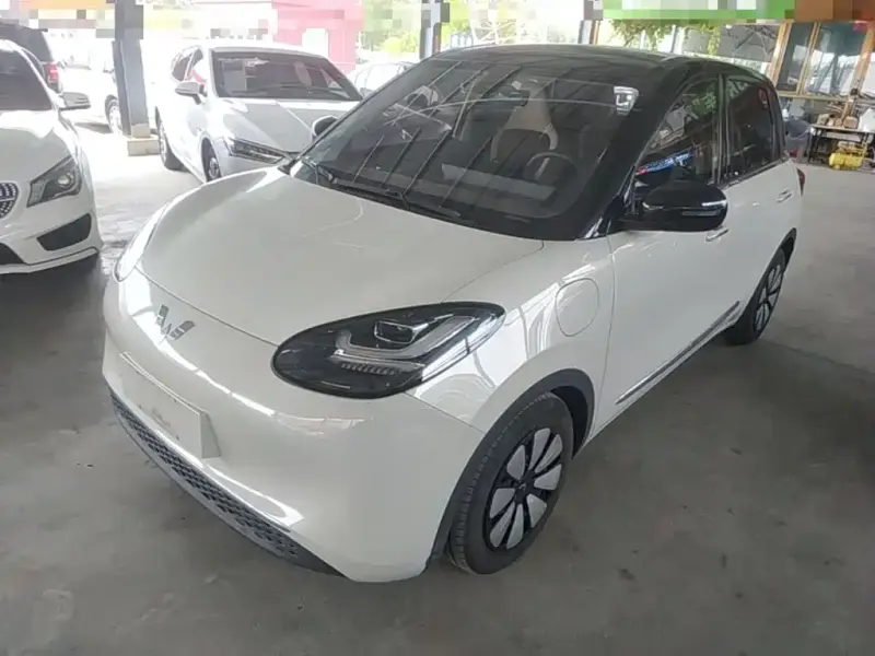 Wuling Bingo, 2023
