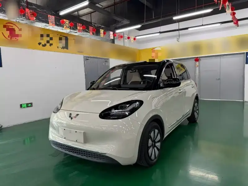 Wuling Bingo, 2024