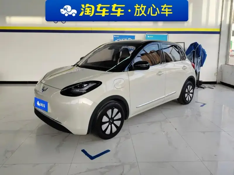 Wuling Bingo, 2024