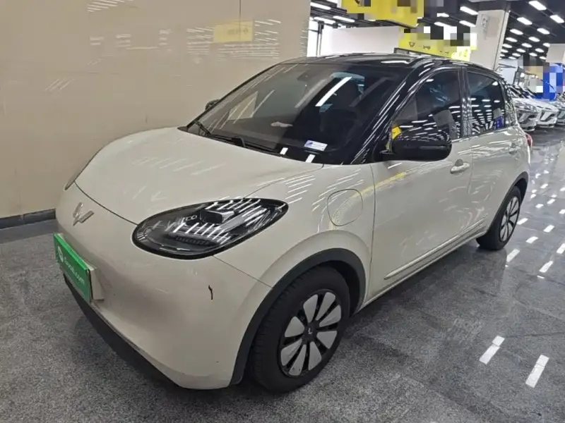 Wuling Bingo, 2023