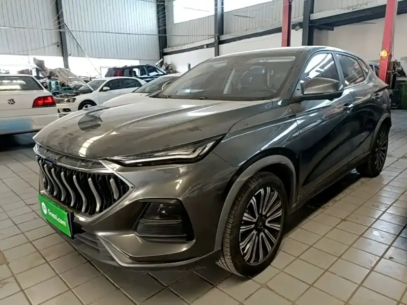 Oshan Oushang X5, 2021
