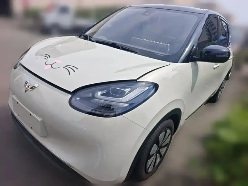 Wuling Bingo, 2023