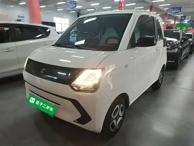 Fengguang MINIEV, 2024