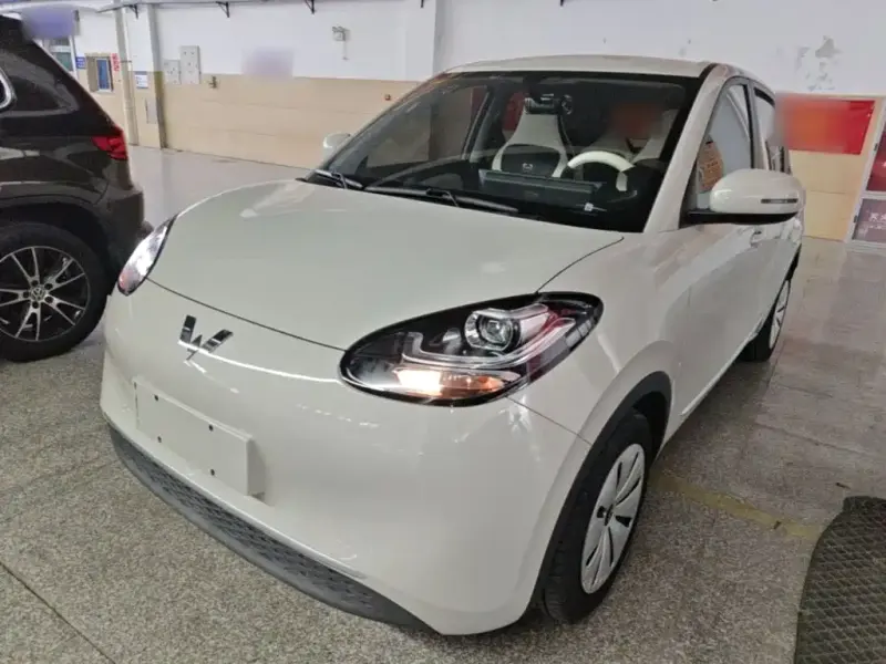 Wuling Bingo, 2023