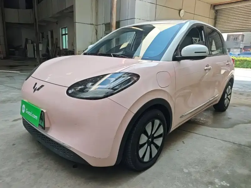 Wuling Bingo, 2024