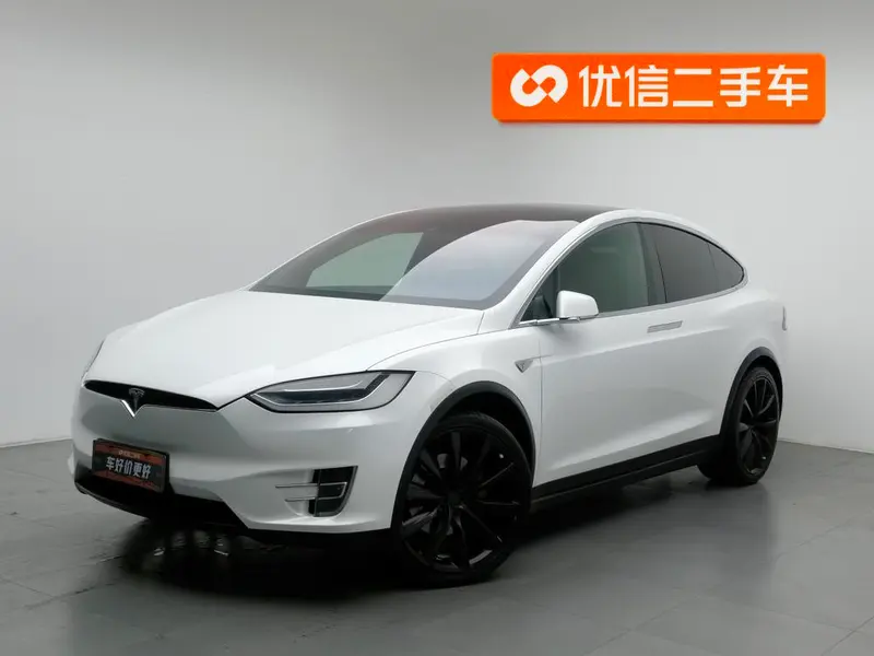Tesla Model X 90D, 2016 — фото 1