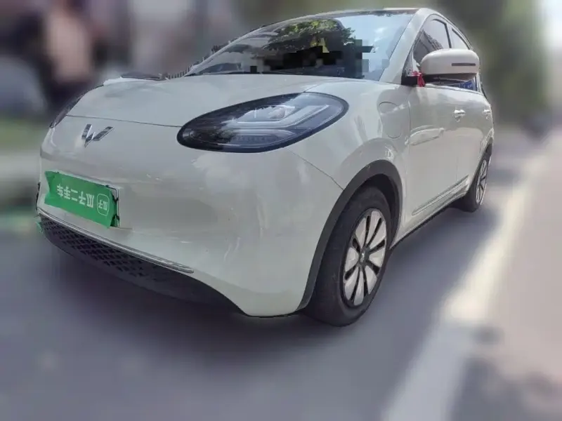 Wuling Bingo, 2024