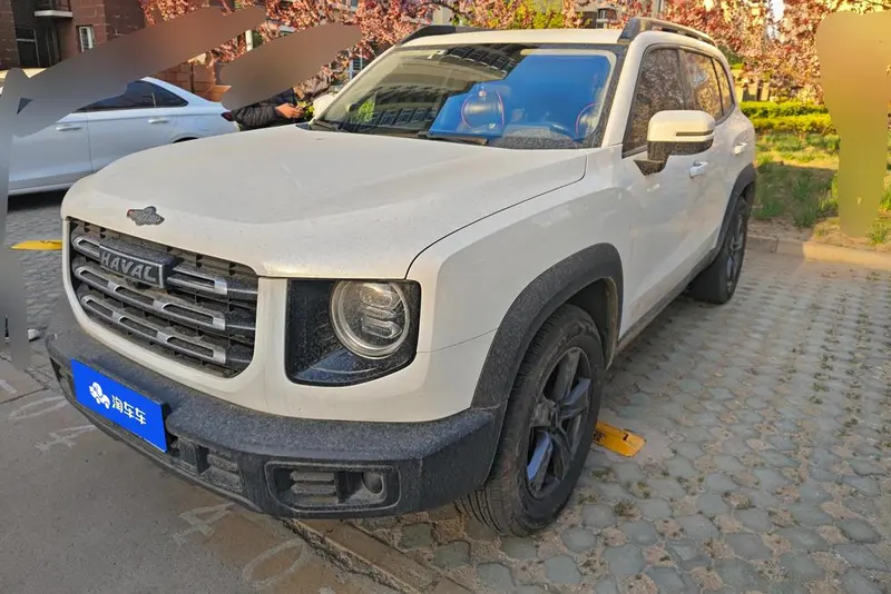 Haval Big Dog, 2021