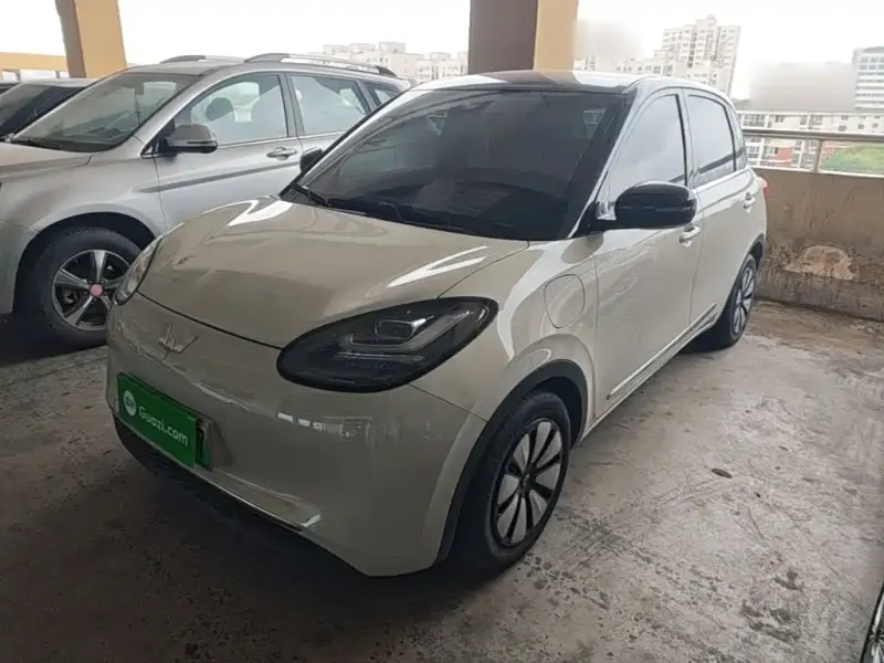 Wuling Bingo, 2024