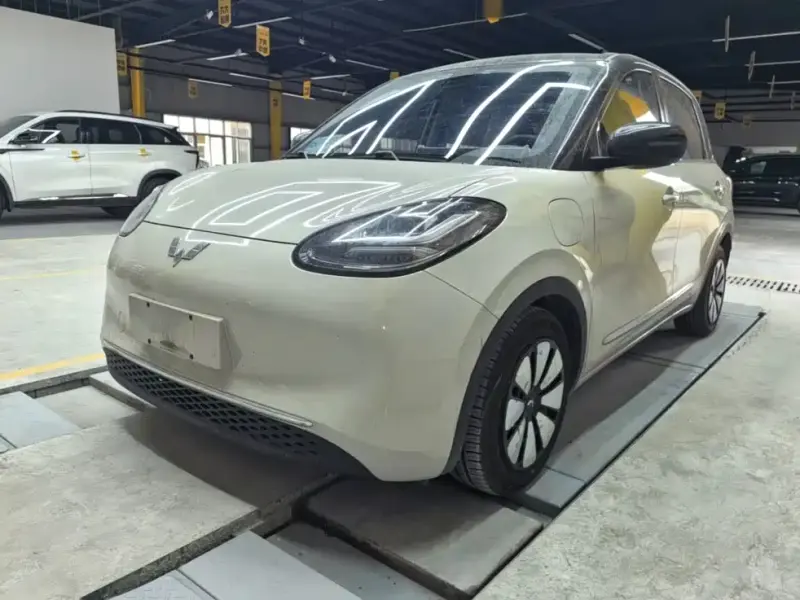 Wuling Bingo, 2024