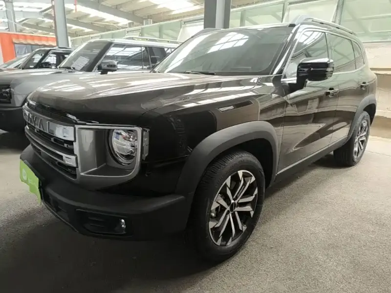 Haval Big Dog, 2024