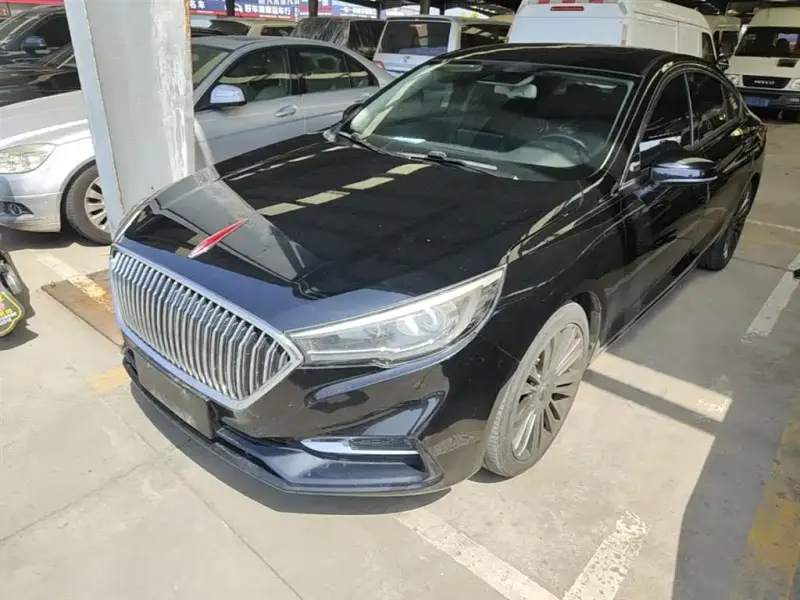 Hongqi H5, 2020
