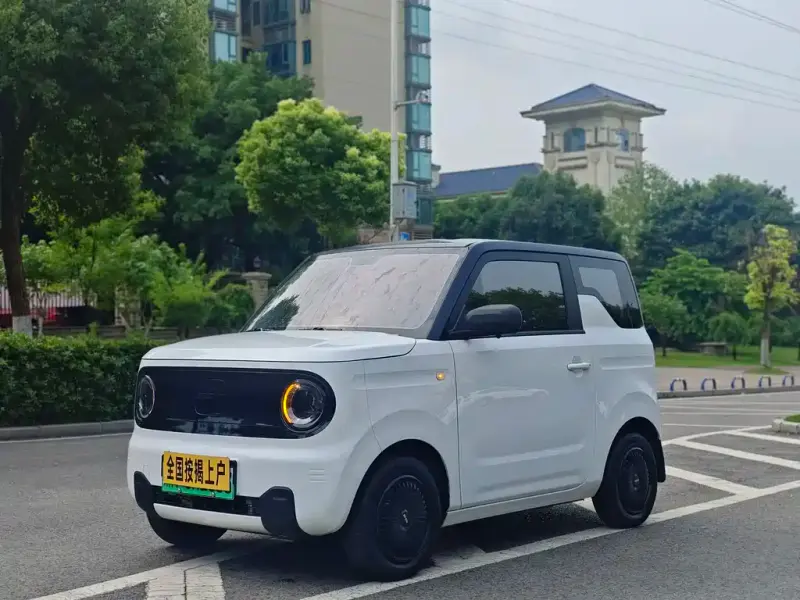 Galaxy Panda, 2023