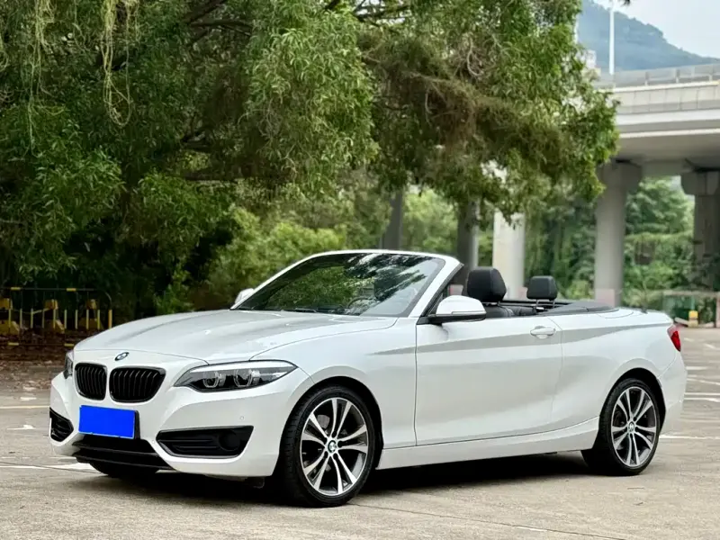 BMW 2 Series (Import), 2021