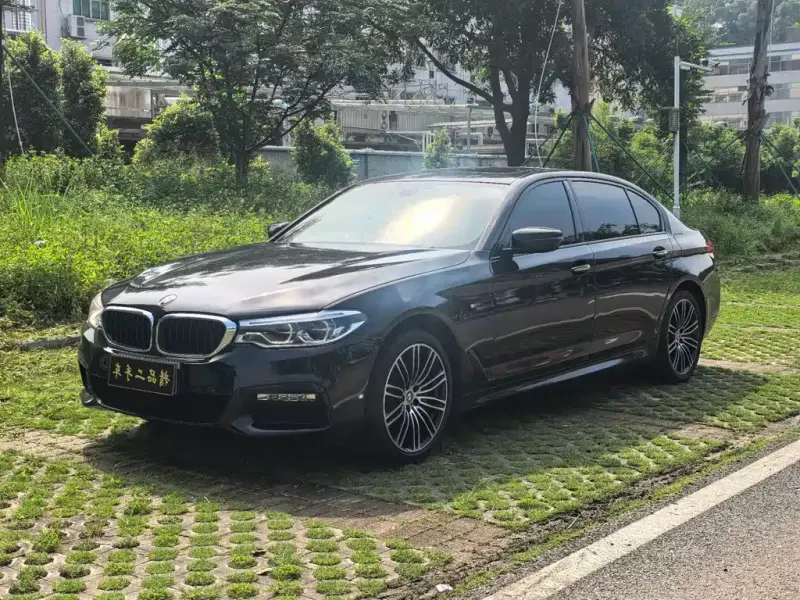 BMW 5 Series, 2019