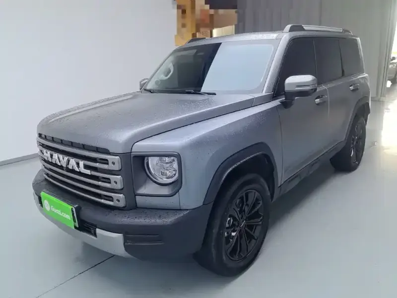 Haval Menglong New Energy, 2024
