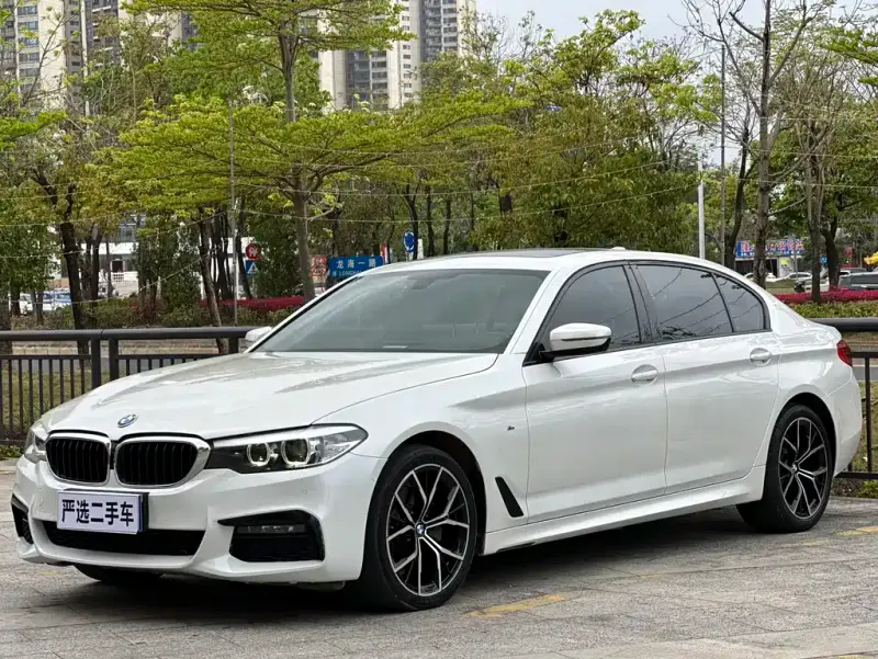 BMW 5 Series, 2019