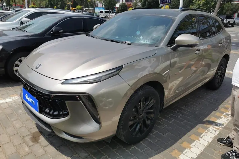 Dongfeng Fengxing Forthing T5 EVO, 2021