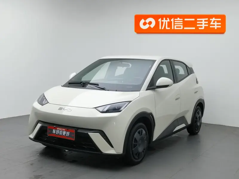 BYD Seagull, 2025