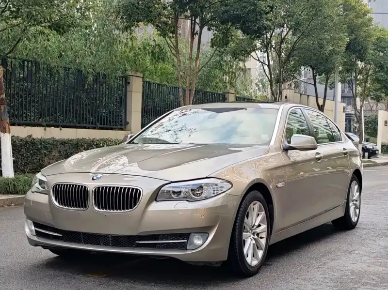 BMW 5 Series, 2010