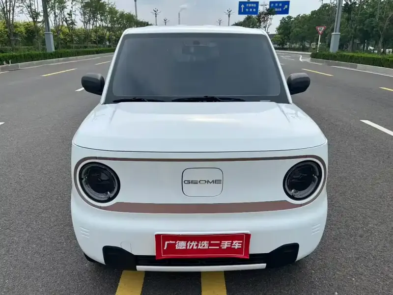 Galaxy Panda, 2024
